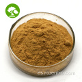 Extracto de Ceilon Cinnamon Powder/Ceilon Cinnamon Stick